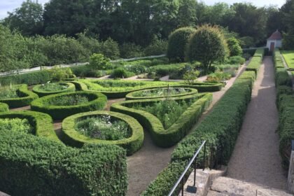 Thumbnail for the post titled: The Incredible Boxwood