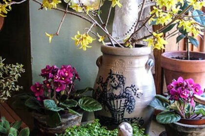 Thumbnail for the post titled: Bringing in Spring