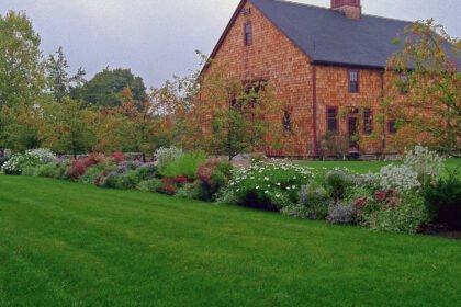 Thumbnail for the post titled: Gardening for Autumn