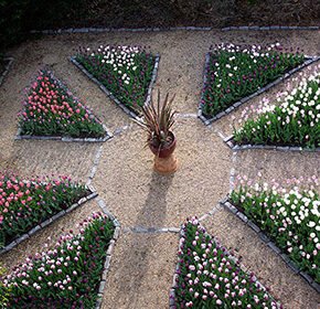 Thumbnail for the post titled: Portfolio