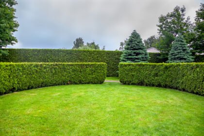 Thumbnail for the post titled: Hedges